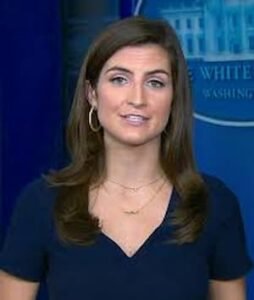 Kaitlan Collins Image